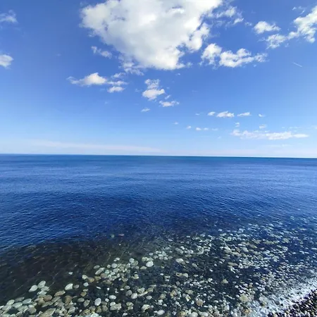 Gigo * Giovinazzo
